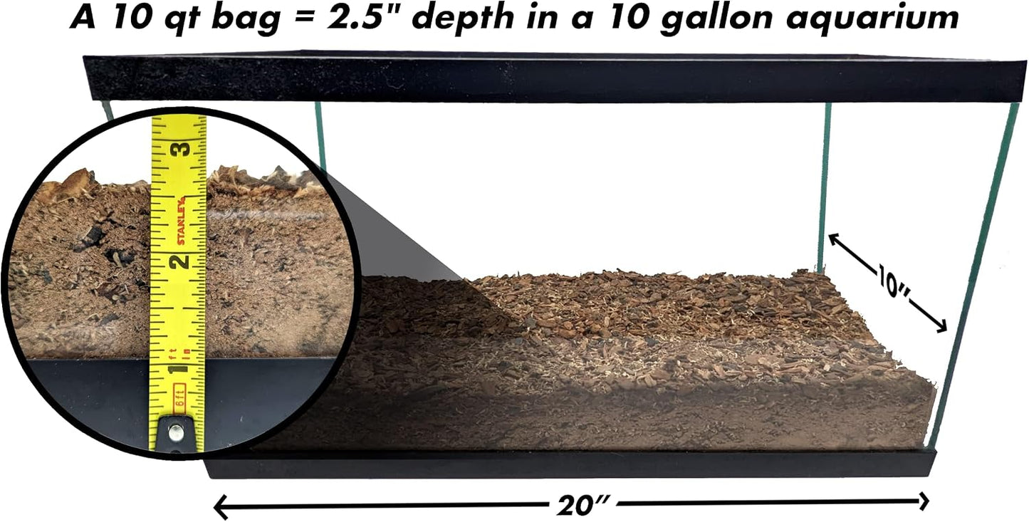 Josh's Frogs BioBedding Tropical Bioactive Substrate application showing the recommended three inch deep layer