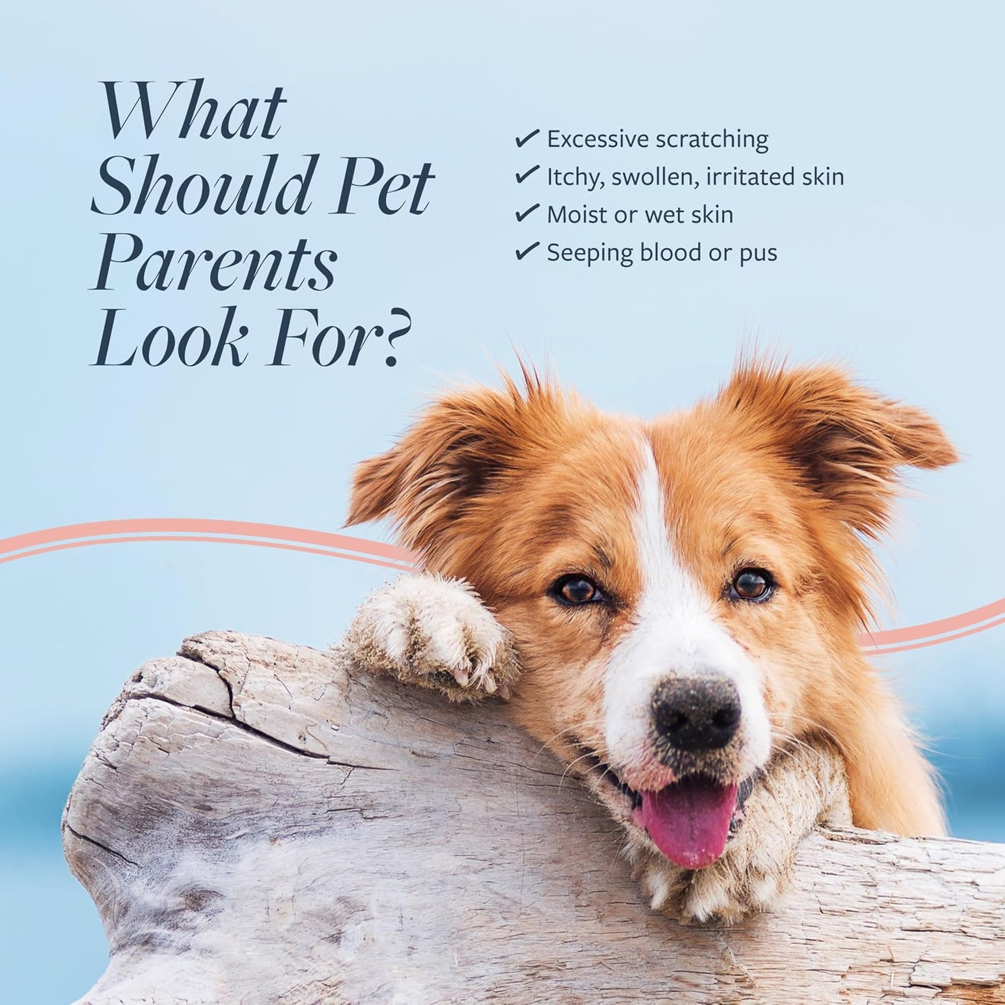 Veterinary Formula Clinical Care oatmeal conditioner for dogs and cats close up