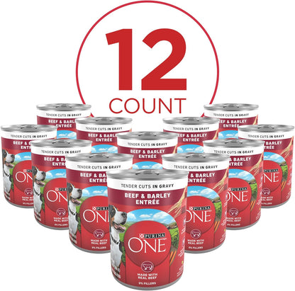 Real beef and barley ingredients callout on the premium dog food label