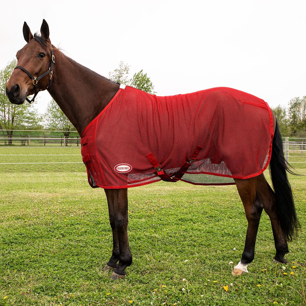 Close up look at the breathable mesh material and tail cord attachment of the Country Pride horse sheet.