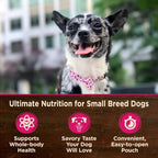 Wellness CORE shredded chicken and lamb dog food pouch closeup