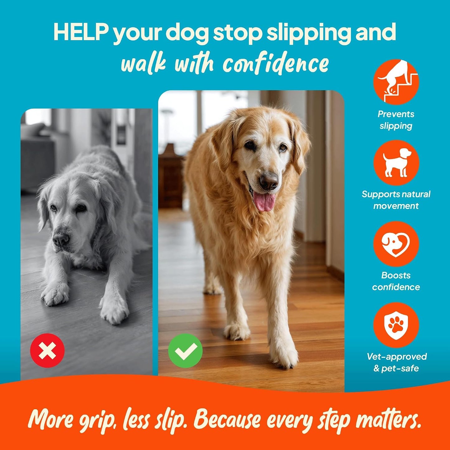 Steady Paws paw grips applied to dog feet on hardwood floor