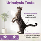 Dog and cat health monitoring kit for bladder and kidney tracking.