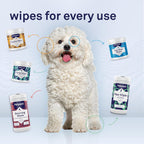 Petpost Tear Stain Remover Wipes for Dogs | 100 Count Gentle Eye Wipes with Juniper Berry & Coconut | Dog Face Wipes for Tear Stains & Eye Discharge | Soft Cotton Pads, Bleach Free - Image 9