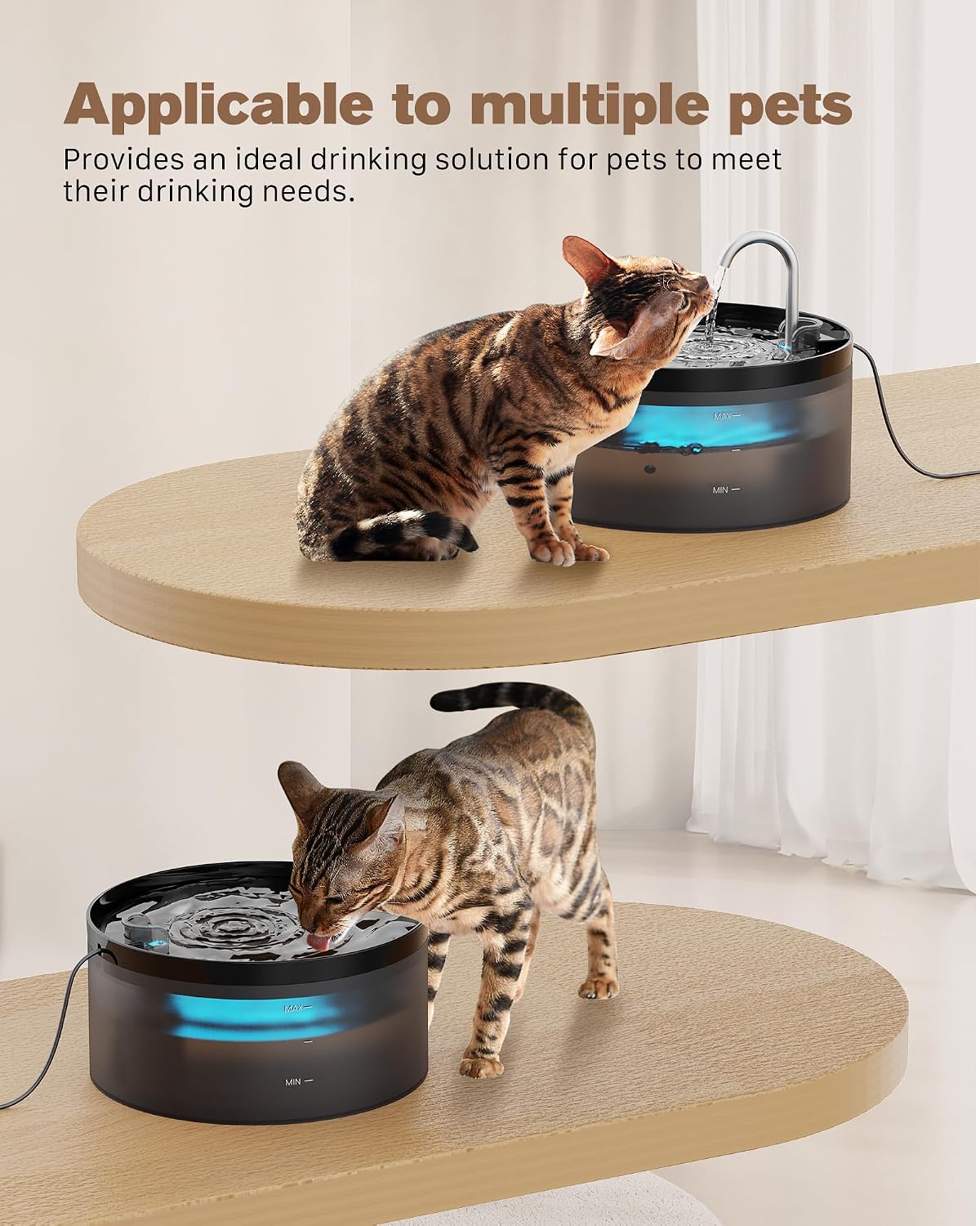Bemoony 3.2 liter indoor pet water fountain setup