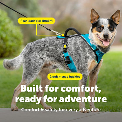 Adjustable straps and buckles on PetSafe EasySport harness