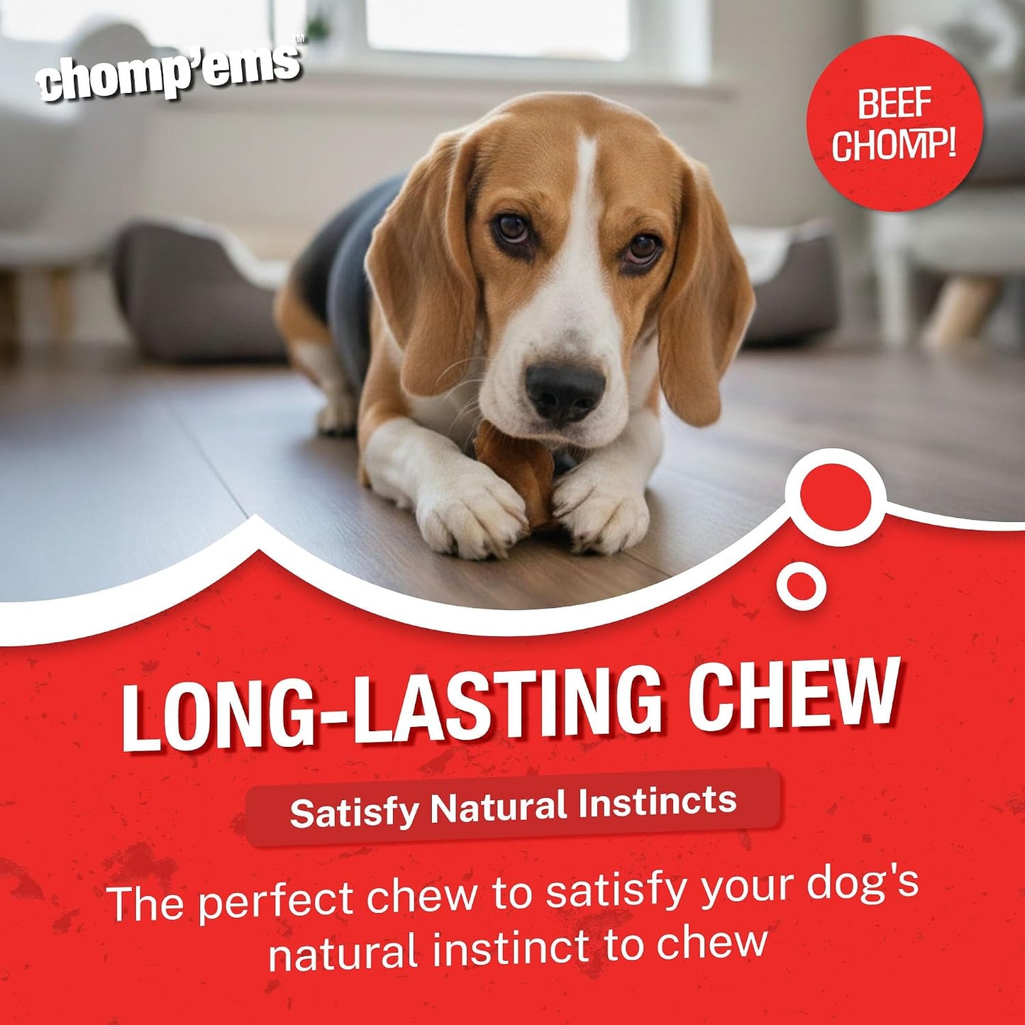 Thick natural beef flavored rawhide chips for medium and large dogs