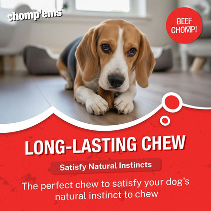 Thick natural beef flavored rawhide chips for medium and large dogs