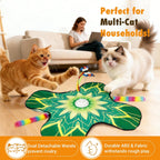 Domestic kitten playing with the motion activated moving feather wand toy