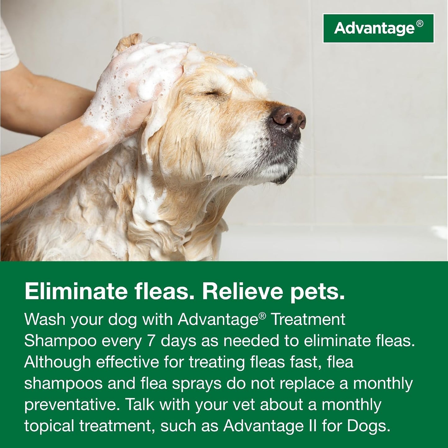 Advantage Dog Flea & Tick Shampoo for Puppies & Adult Dogs | Kills Fleas & Ticks | 24 oz. - Image 9