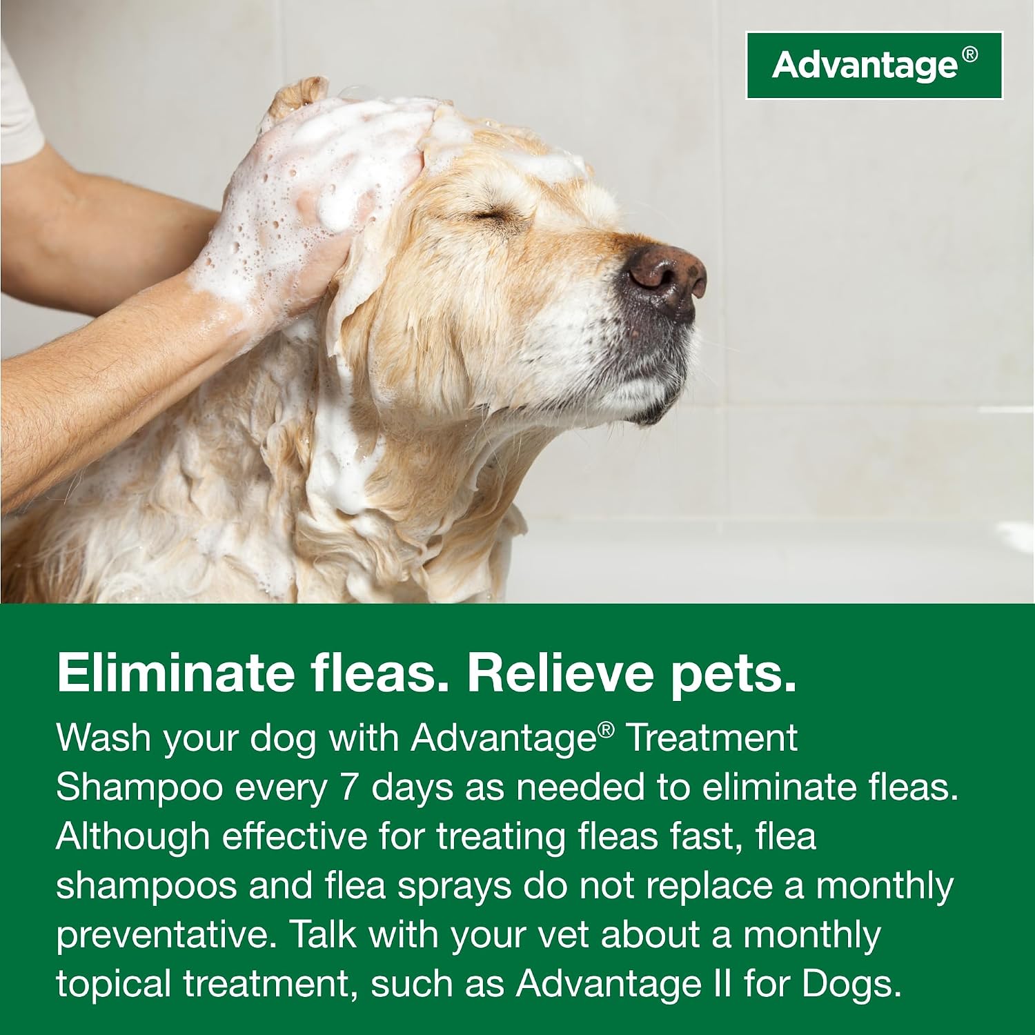 Advantage Dog Flea & Tick Shampoo for Puppies & Adult Dogs | Kills Fleas & Ticks | 24 oz. - Image 9