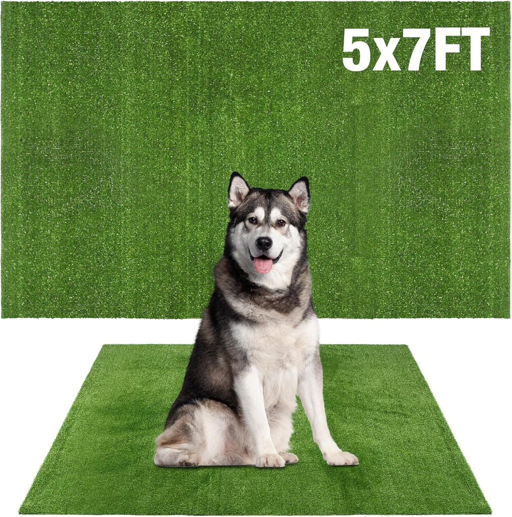 Packaging and product layout of Globreen dog potty turf
