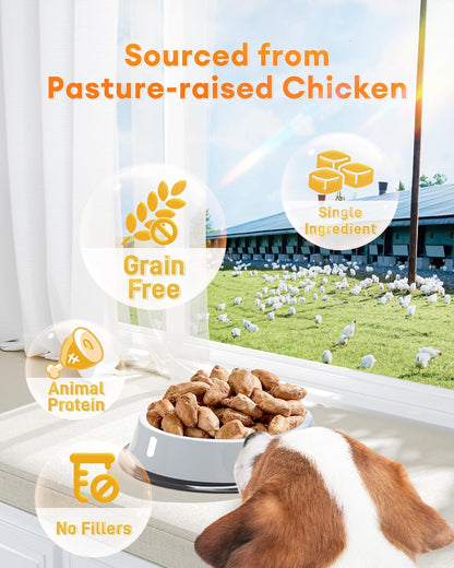 Close up of freeze-dried chicken heart texture for pets