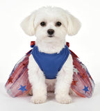 Side view of a small puppy wearing the YSTAR red white and blue pet party clothing