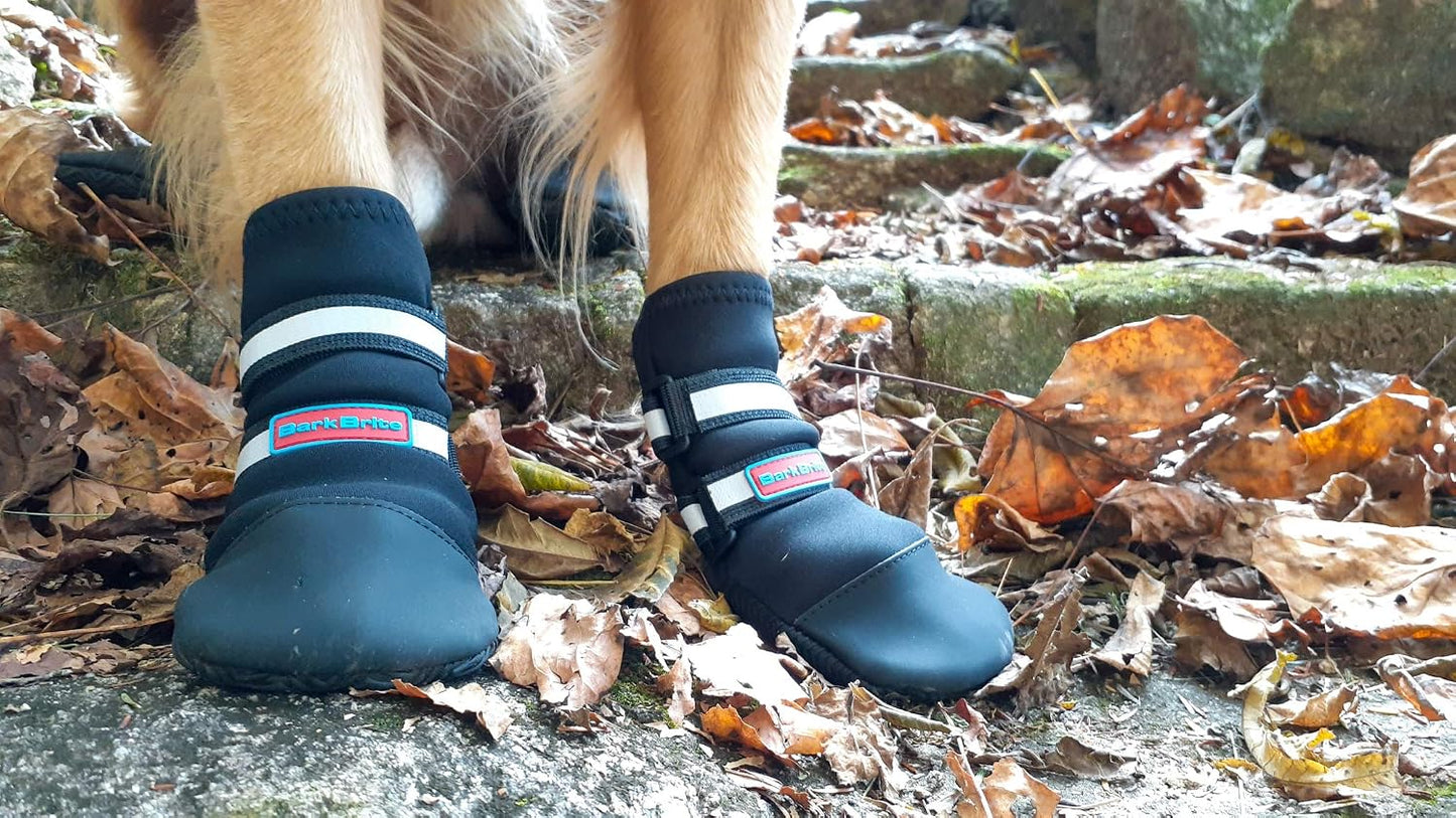 Side profile of dog wearing Bark Brite boots