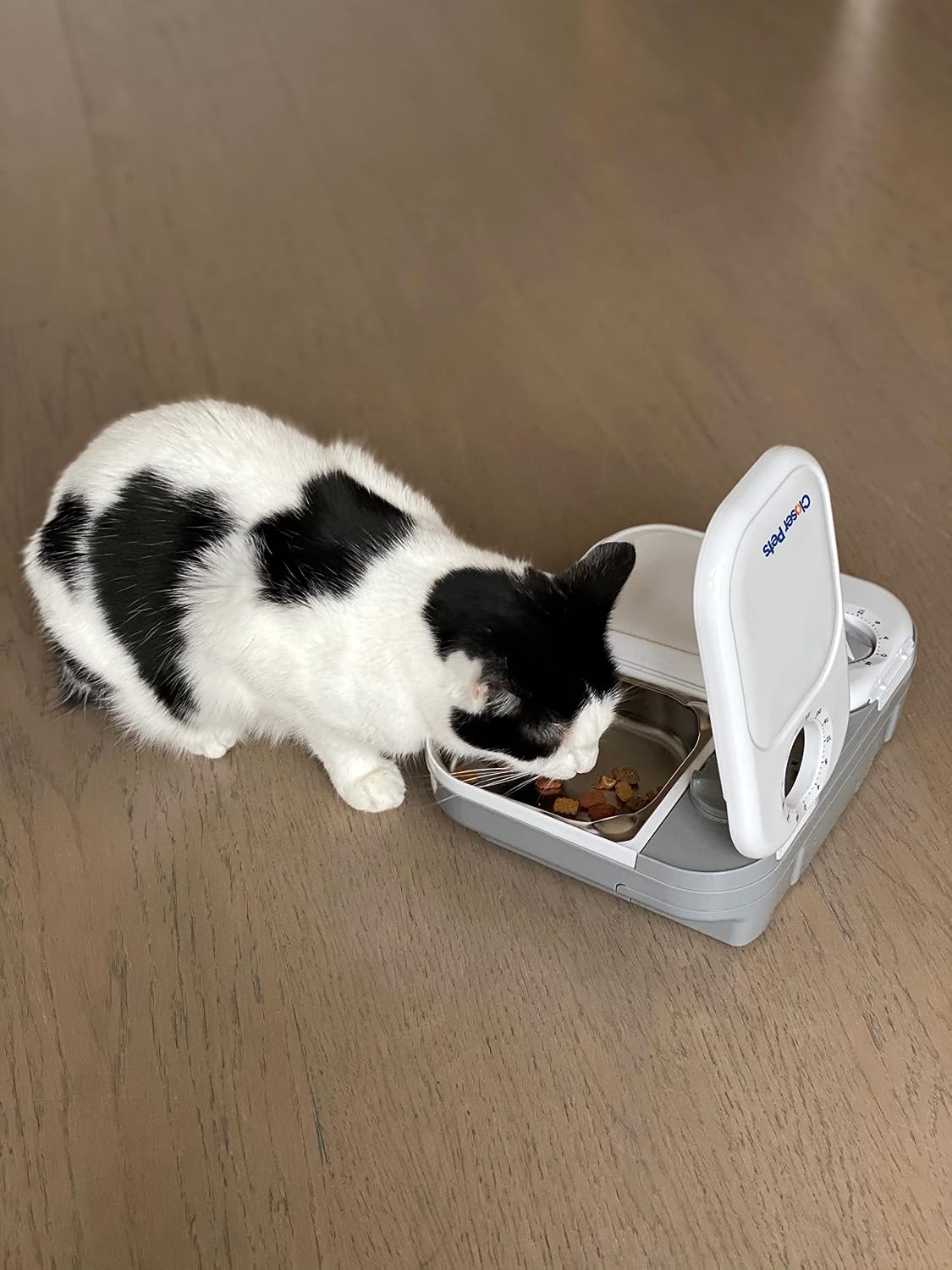 Closer Pets automatic pet feeder with premium stainless steel bowl inserts