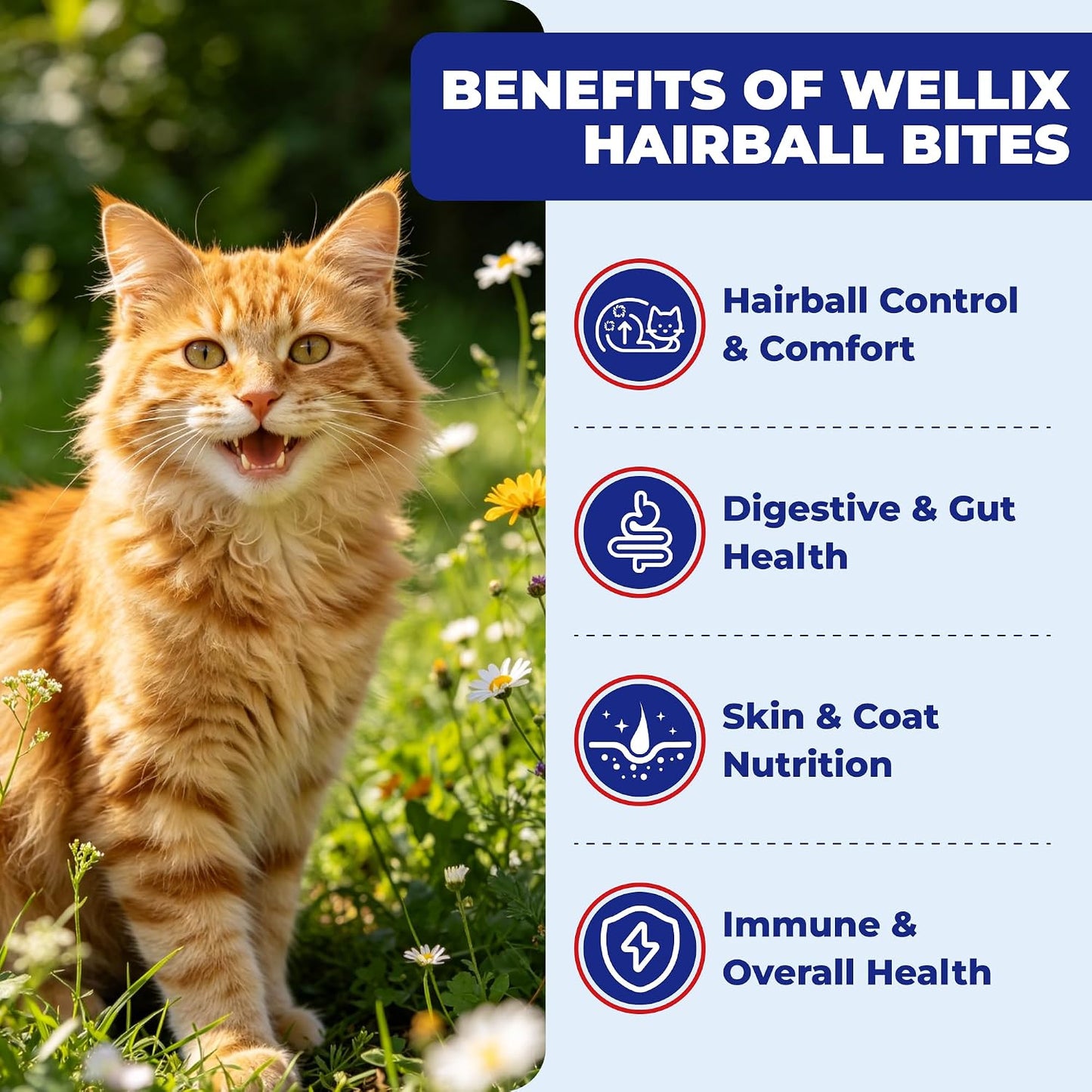 Back label of Wellix feline hairball relief supplement showing feeding guidelines