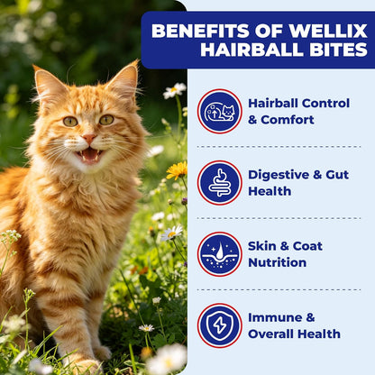 Back label of Wellix feline hairball relief supplement showing feeding guidelines