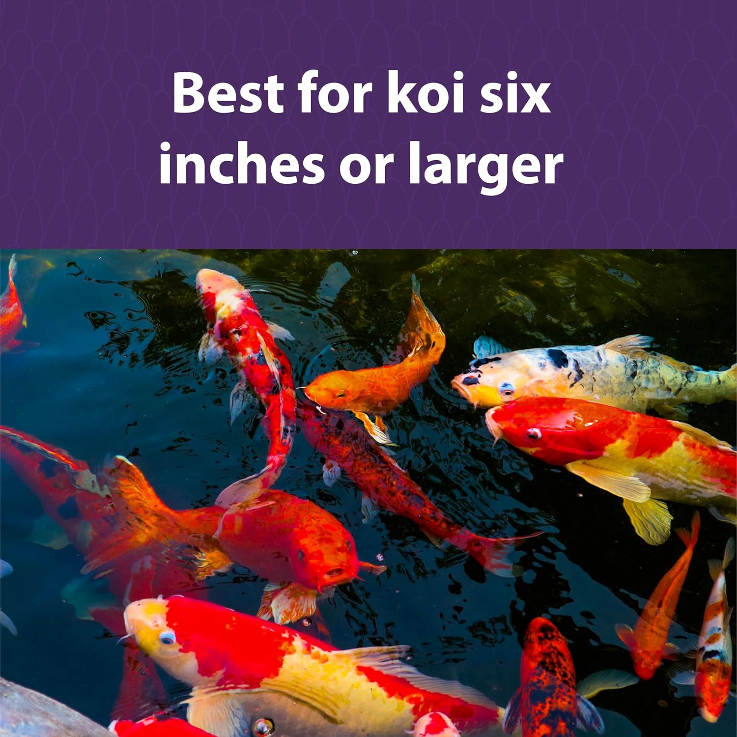 Mazuri Koi Pond Nuggets packaging label details