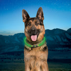 Nite Ize NiteHowl customizable green LED safety ring being measured for pet neck sizing