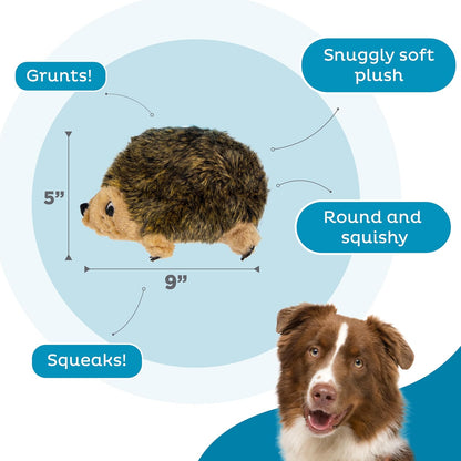 Interactive squeaky dog toy with internal grunter mechanism for pets