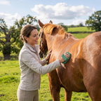Flexible rubber curry comb showing molded bristles for deep cleaning horses.