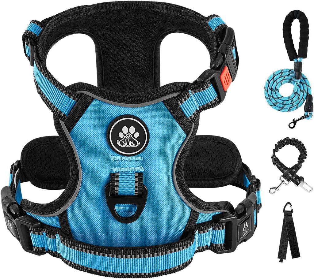 Storage strap for Ivy And Lane dog harness set