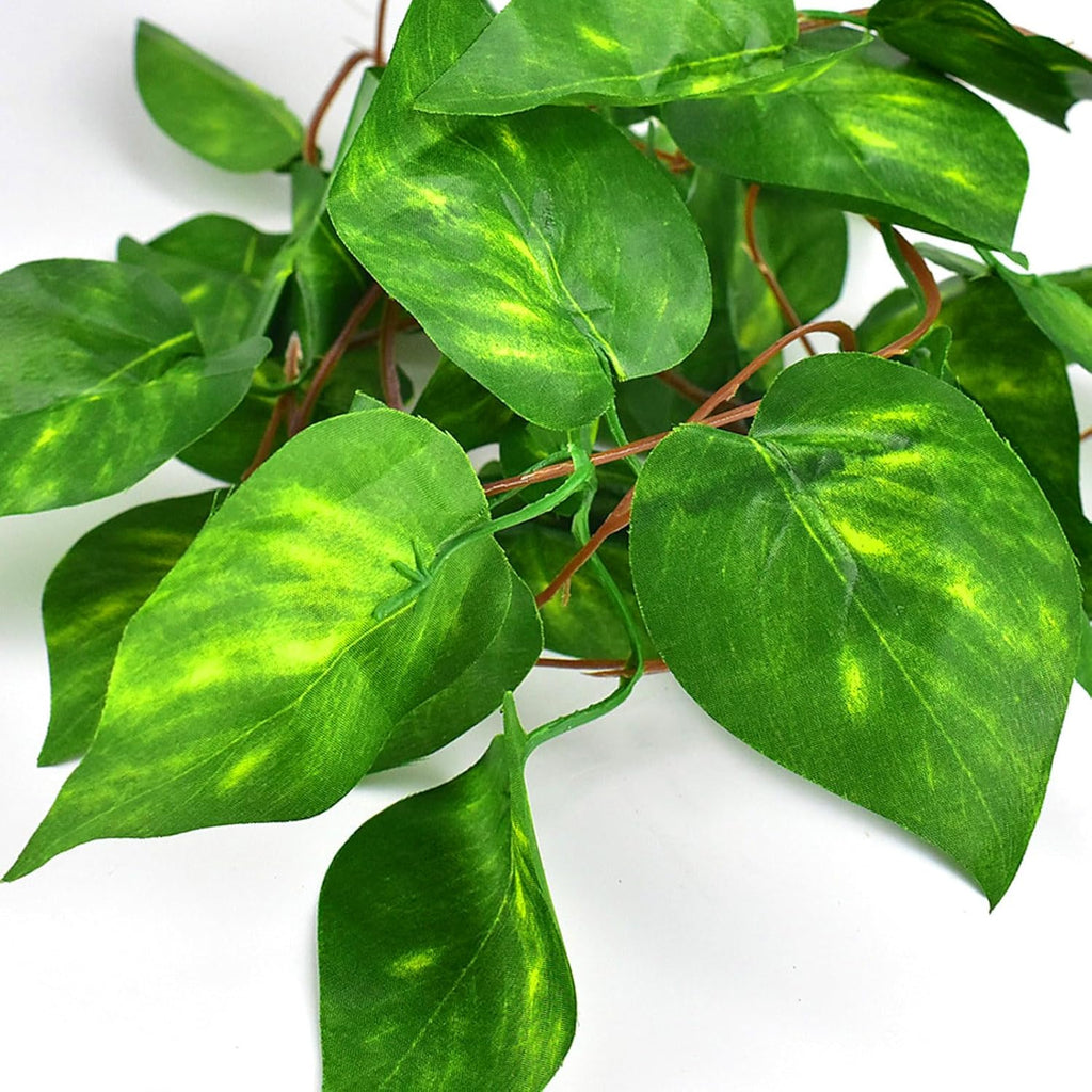 Complete packaging view of Katumo reptile plants for tank habitats