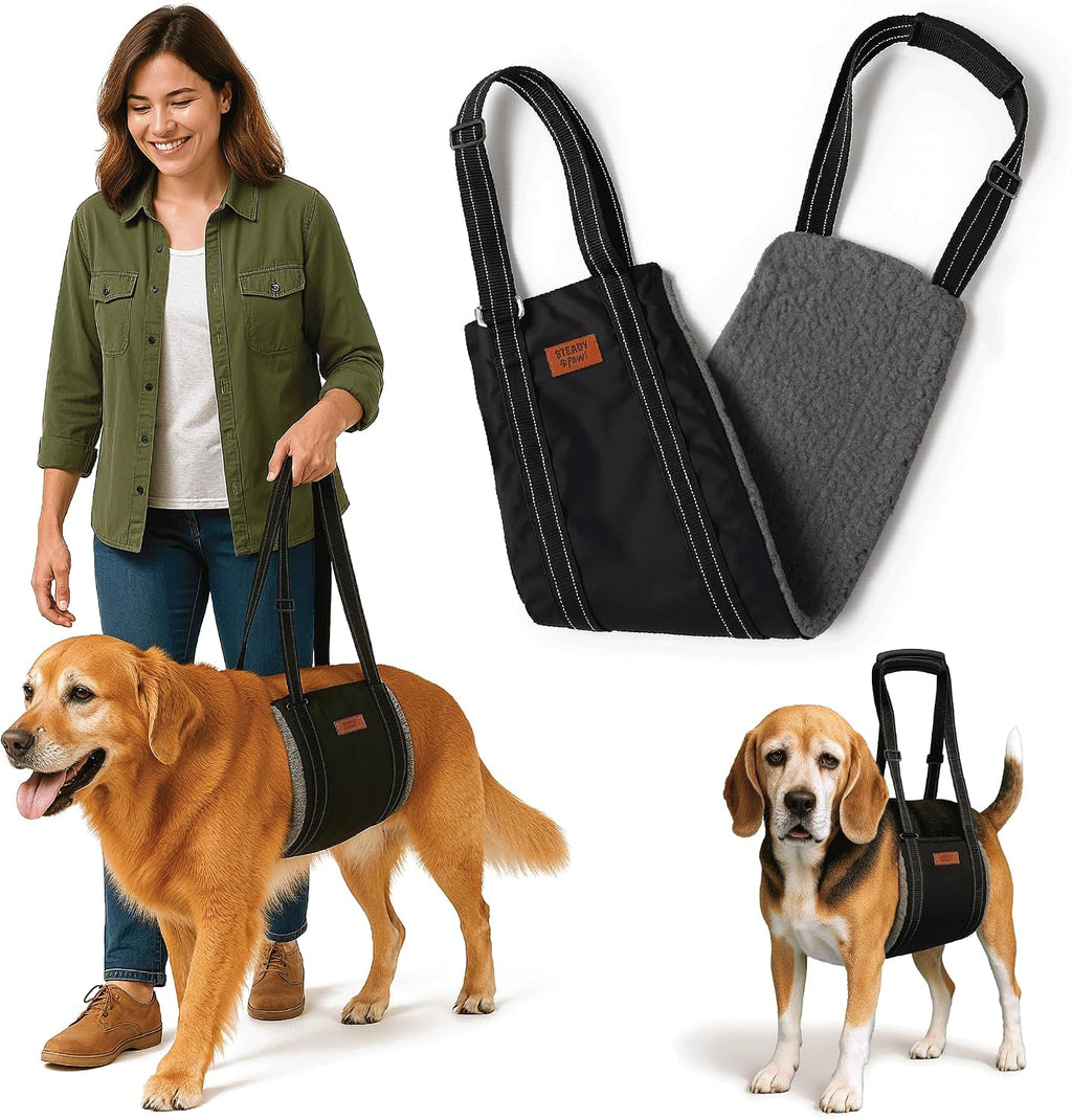 Steady Paws dog lifting harness front view