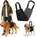 Steady Paws dog lifting harness front view
