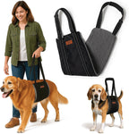 Steady Paws dog lifting harness front view