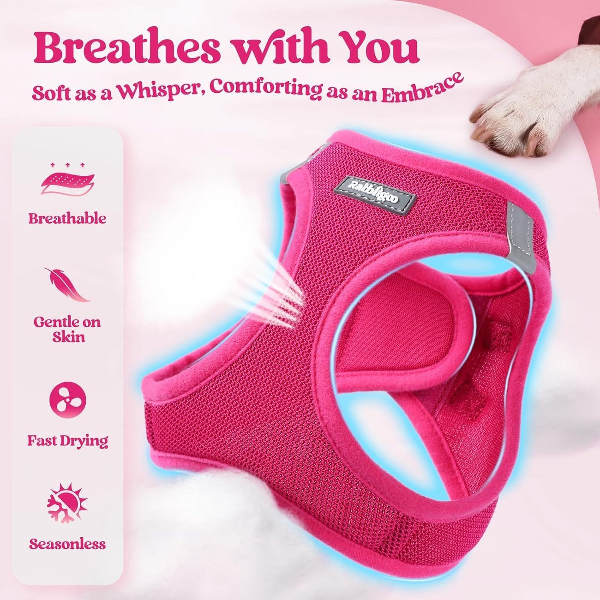 Rabbitgoo soft air mesh small pet harness adjustable straps look