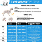 Adjustable straps on PawPawify dog training harness