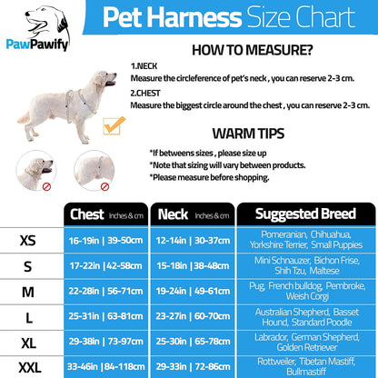 Adjustable straps on PawPawify dog training harness