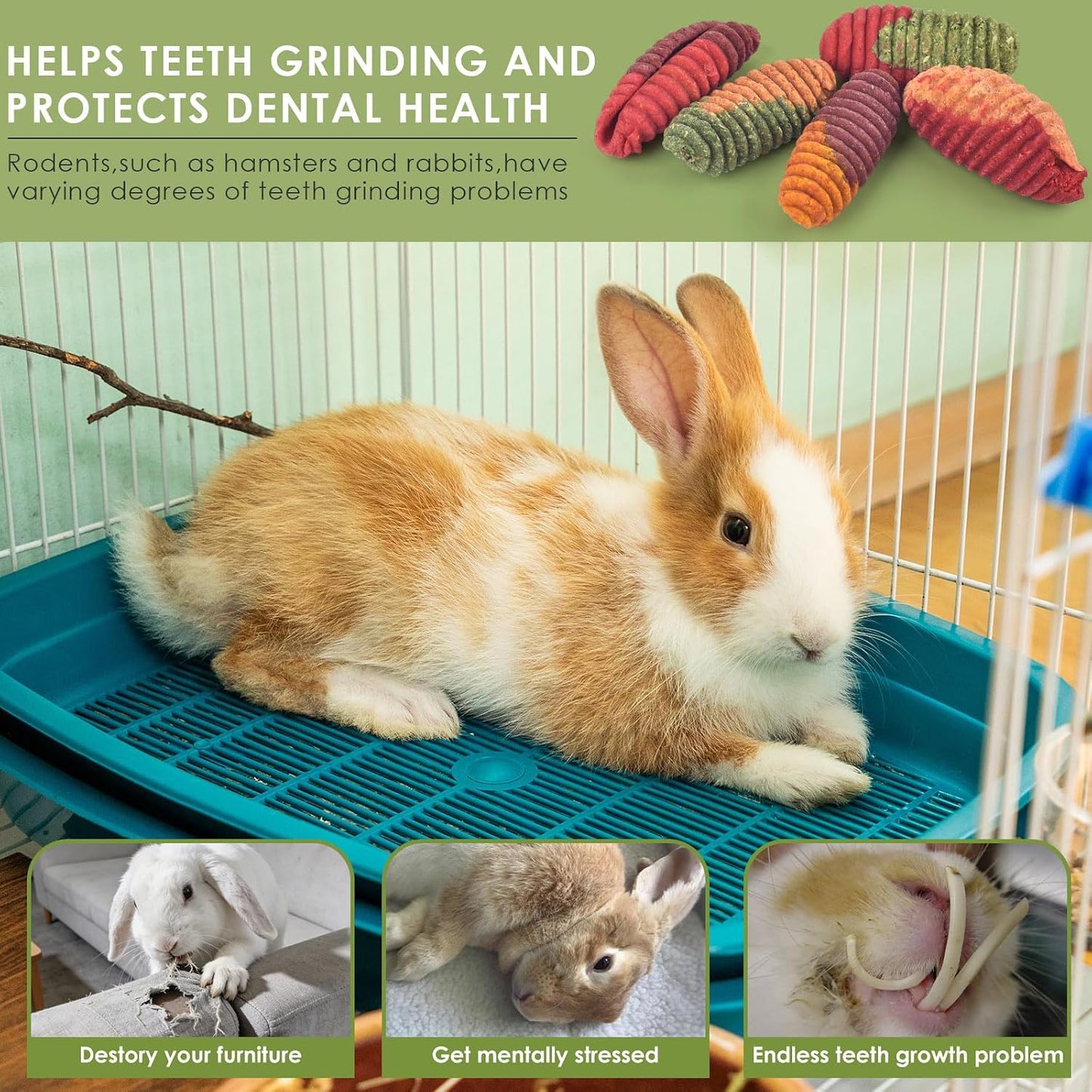 Erkoon rodent chew toy for dental care and foraging enrichment