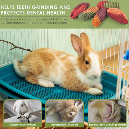 Erkoon rodent chew toy for dental care and foraging enrichment