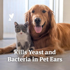 PetArmor antifungal ear wash bottle layout