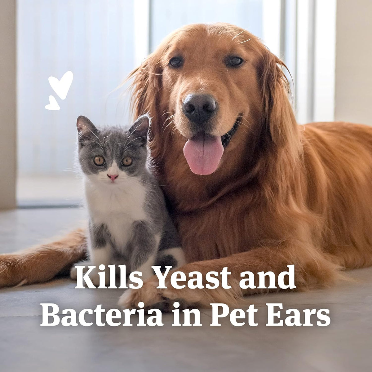 PetArmor antifungal ear wash bottle layout