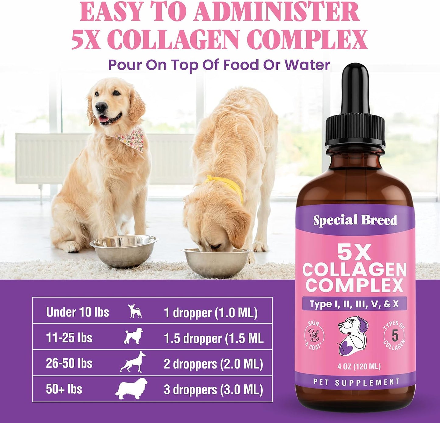 Special Breed dog supplement bottle showcasing hip and joint protection benefits