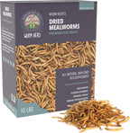 Worm Nerd mealworm bag being used as a snack for backyard chickens