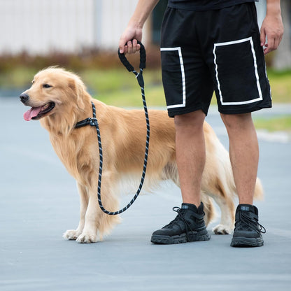 iYoShop no pull dog training leash showing the heavy duty metal adjustment hardware.
