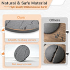 Sturdy reptile claw grinding plate and food bowl combination