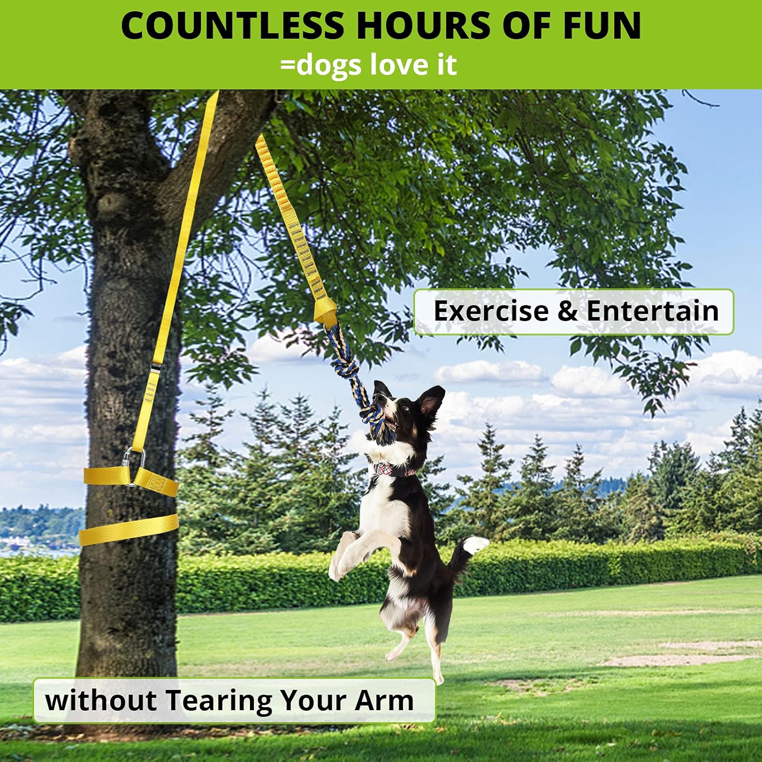 Medium sized active dog jumping up to catch the retractable tether tugger toy in a backyard setup