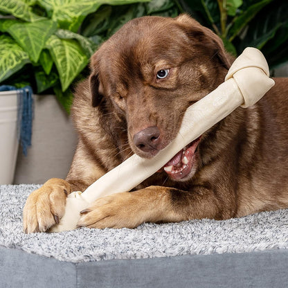 Pet Factory extra large premium thick hide dental health dog chew bone