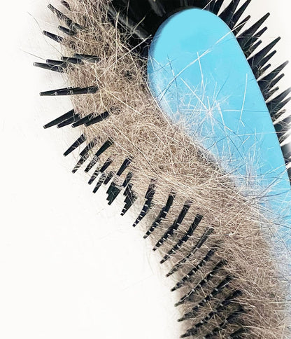 KittyWand cat brush flexible bristle tips for sensitive skin care
