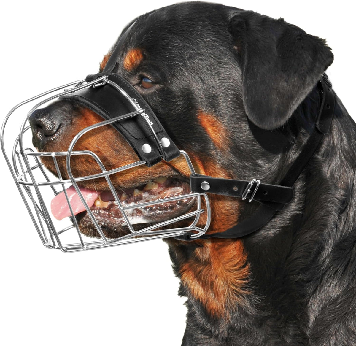 CleverTail XL metal dog muzzle front view for large breeds