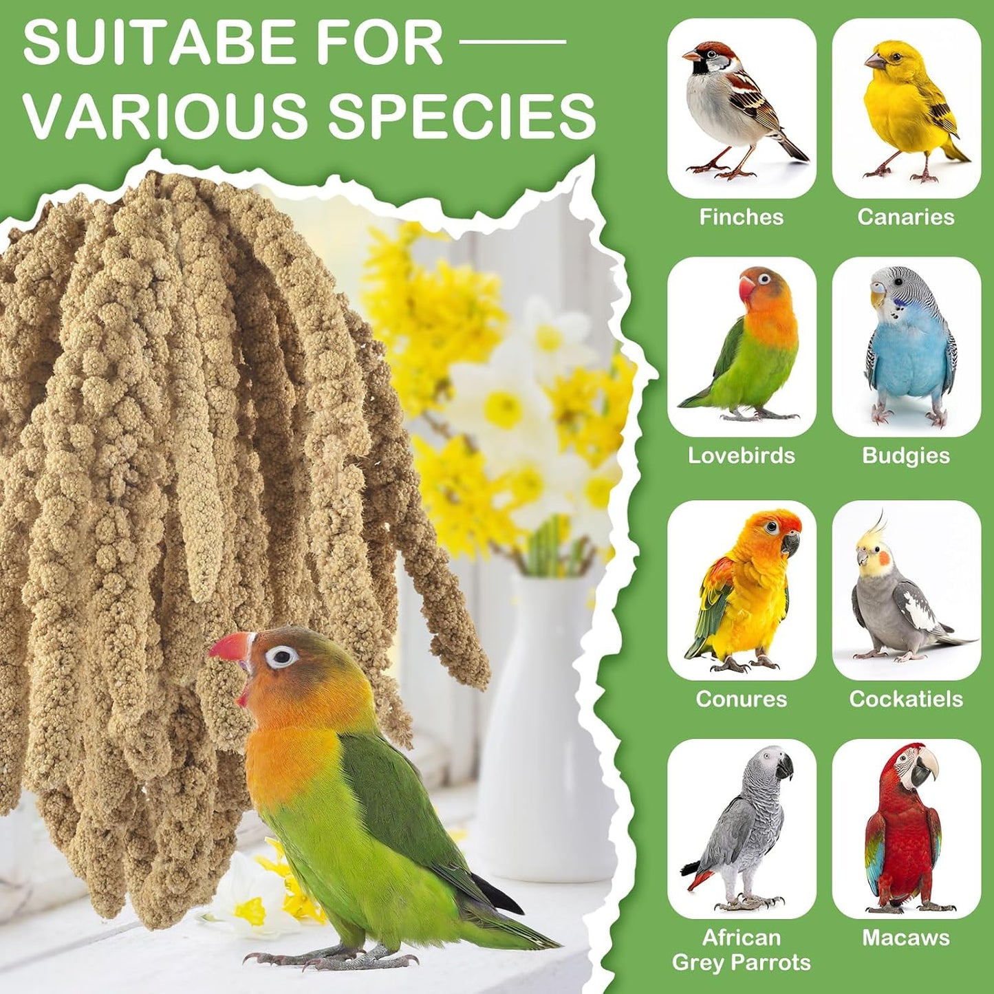 Healthy foraging treat for lovebirds and canaries