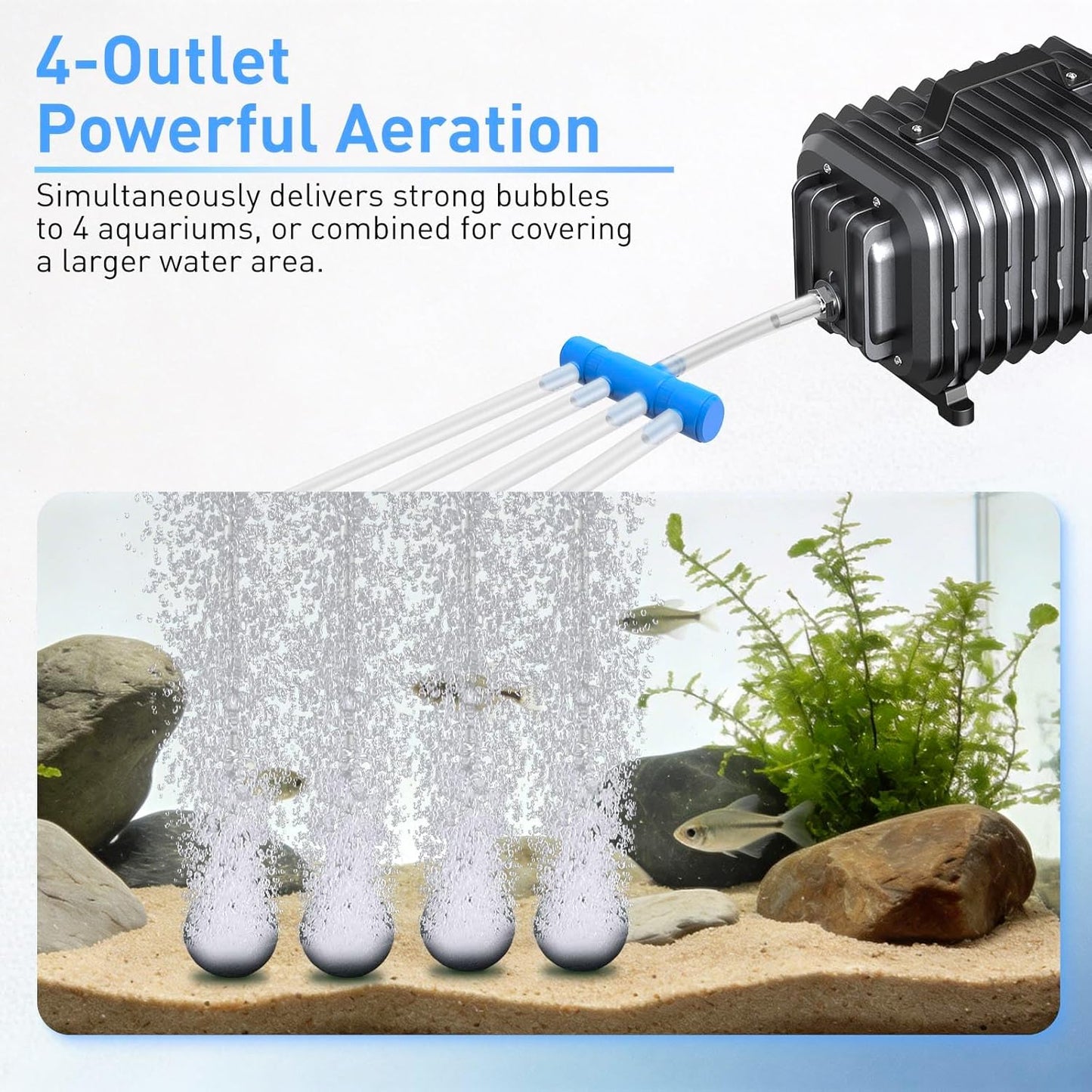 Devopet aeration pump setup for hydroponics and aquarium use