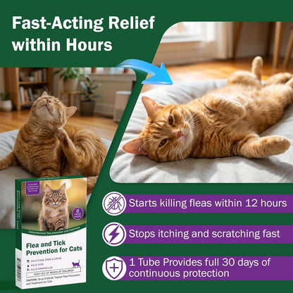 Articats cat parasite prevention packaging back view