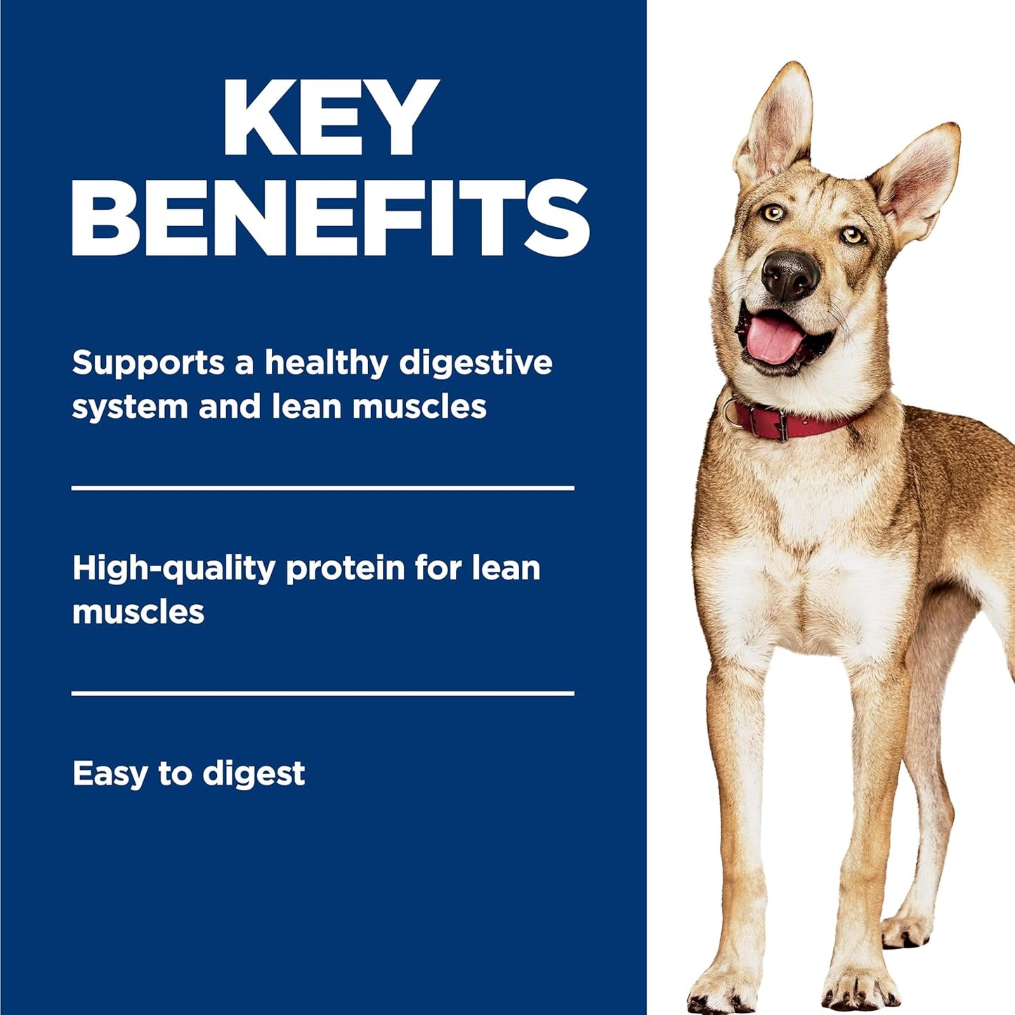 Close up of Hill's Science Diet dog food can featuring real beef and vegetables formula